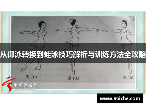 从仰泳转换到蛙泳技巧解析与训练方法全攻略